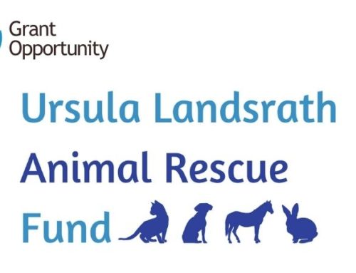 Now Accepting Proposals: Ursula Landsrath Animal Rescue Fund 2022