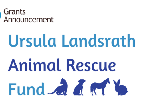 Ursula Landsrath Animal Rescue Fund Grants $65,000 to Animal Welfare Nonprofits
